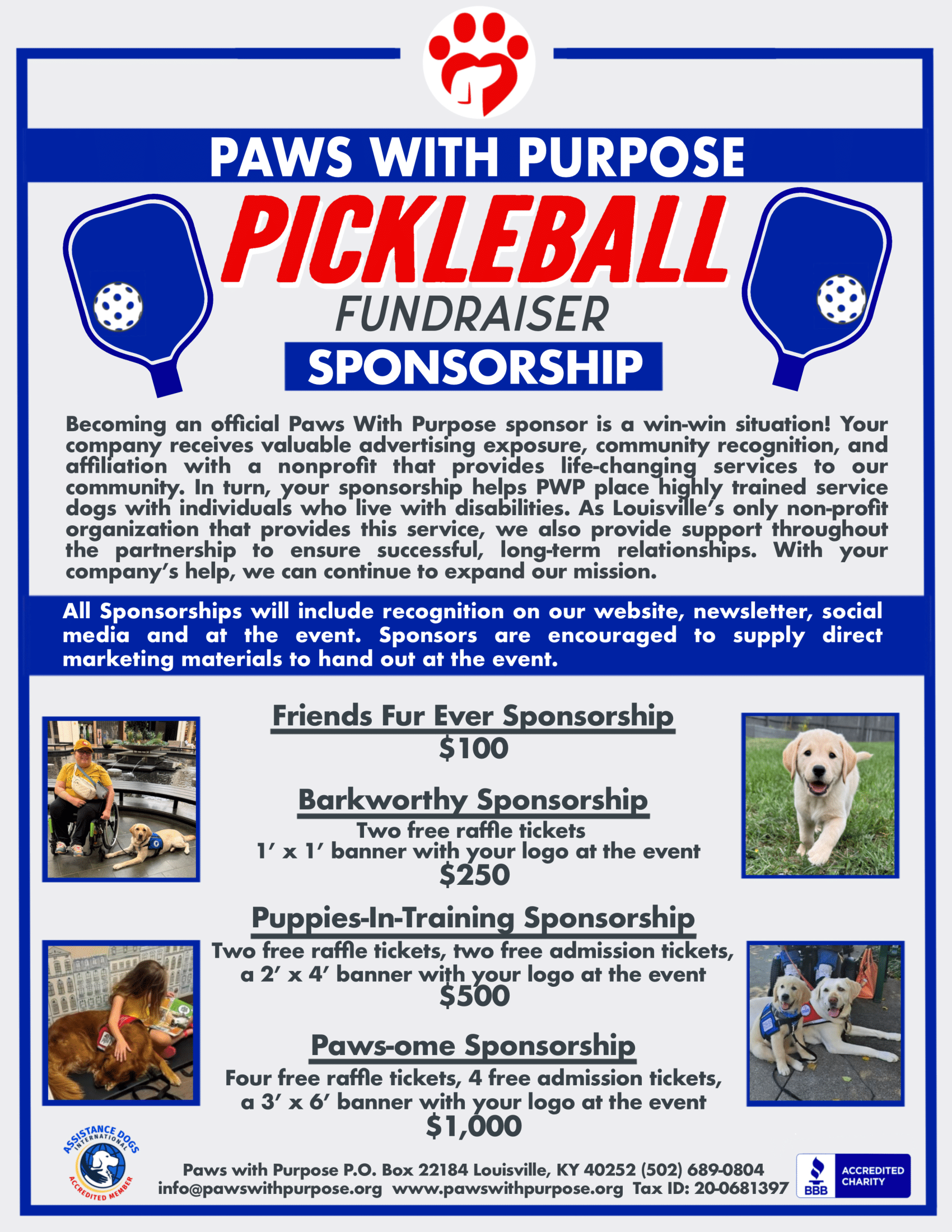 Pickleball Fundraiser Sponsorship